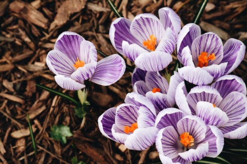 Processed with VSCO with a6 preset